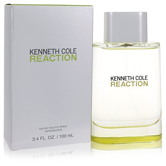 Kenneth Cole Kenneth Cole Reaction Eau De Toilette Spray 100ml/3.4oz