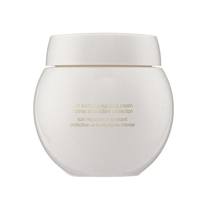 Helena Rubinstein Re-Plasty Age Recovery Day Cream 50ml